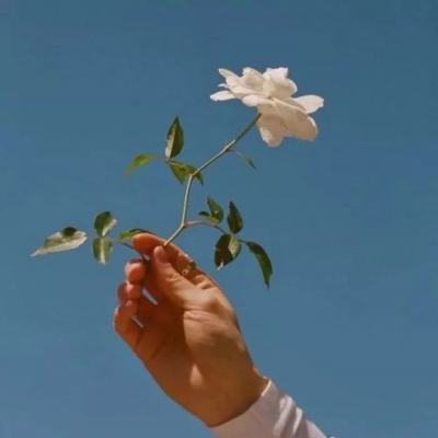 梦回战场老版下载